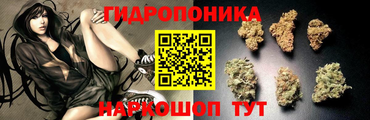 Бошки Шишки AK-47 Касимов